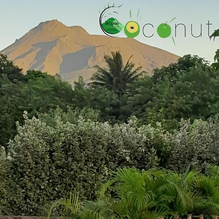 O Logis Du Morne Jacob "Coco", Le Morne-Rouge Martinique Lejlighed Eksteriør billede