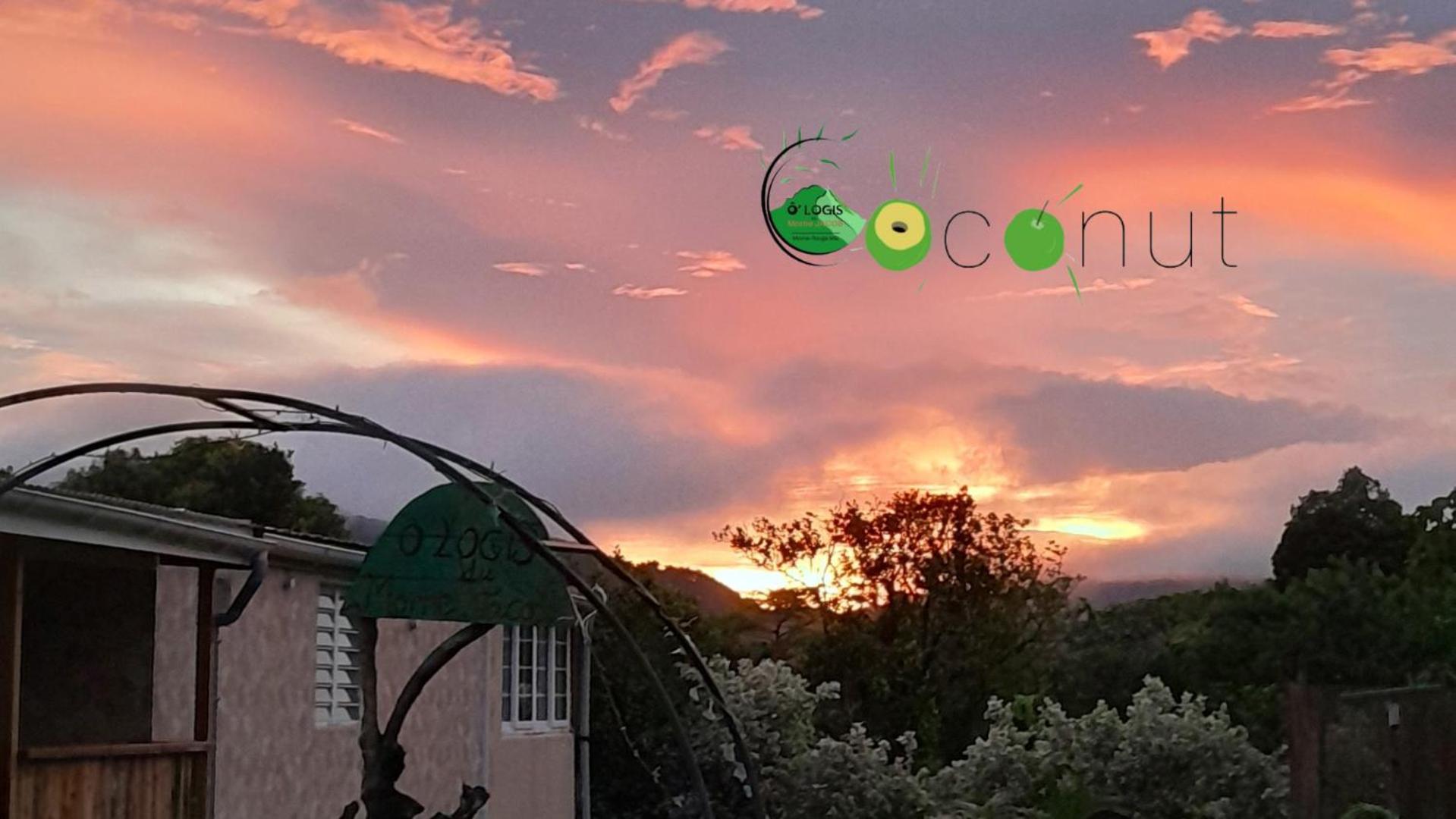 O Logis Du Morne Jacob "Coco", Le Morne-Rouge Martinique Lejlighed Eksteriør billede